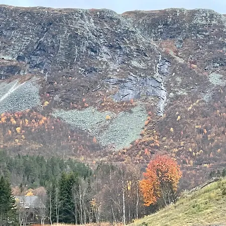 ホテル Hallingskarvet Fjellstue As 3*