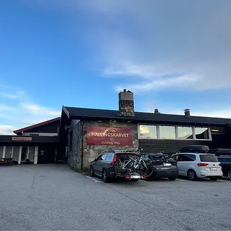 Hallingskarvet Fjellstue As Otel 3*