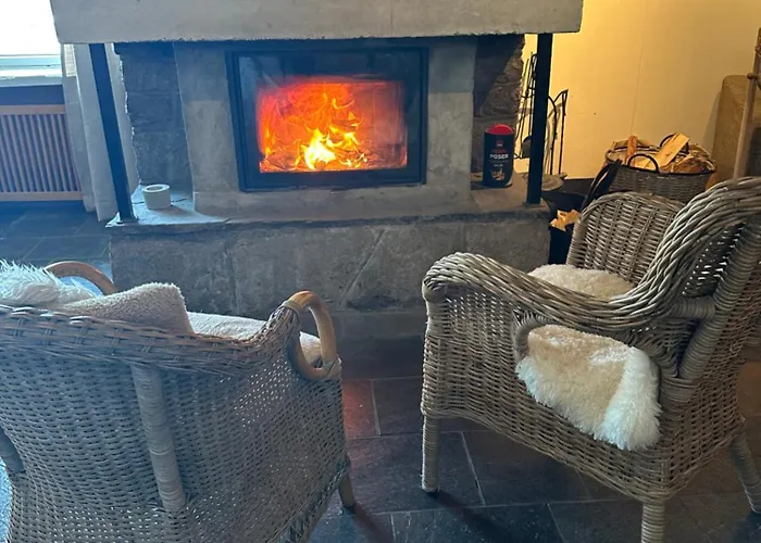 Otel Hallingskarvet Fjellstue As